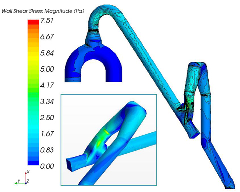 Wall shear stress distribution